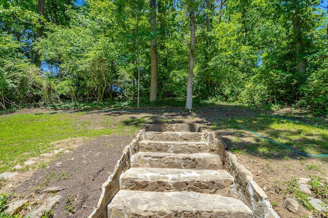 821 Ravine Rd, Signal Mountain, TN 37377 - view of yard