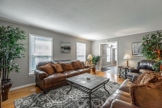 821 Ravine Rd, Signal Mountain, TN 37377 - living room featuring a textured ceiling, light wood-style floors, and baseboards