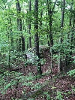 0 Anderson Ave, Signal Mountain, TN 37377