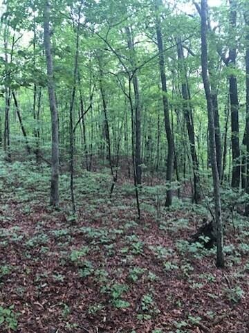0 Anderson Ave, Signal Mountain, TN 37377