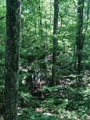 0 Anderson Ave, Signal Mountain, TN 37377