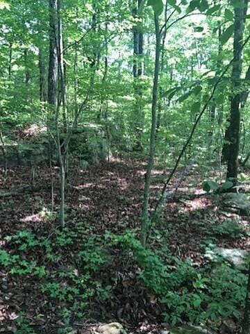 0 Anderson Ave, Signal Mountain, TN 37377