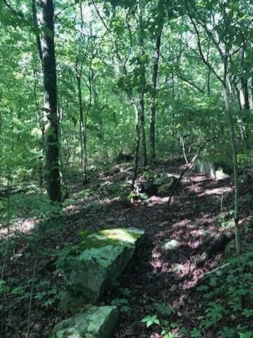 0 Anderson Ave, Signal Mountain, TN 37377