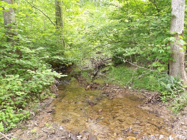 000 Overview Rd, Crossville, TN 38572 - photo 8