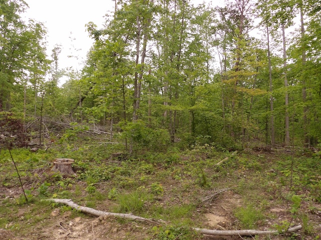 000 Overview Rd, Crossville, TN 38572 - photo 10