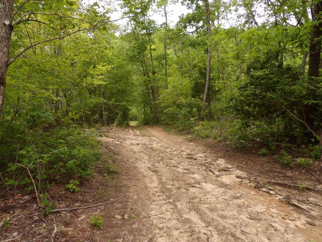 000 Overview Rd, Crossville, TN 38572 - photo 11