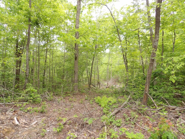 000 Overview Rd, Crossville, TN 38572 - photo 12