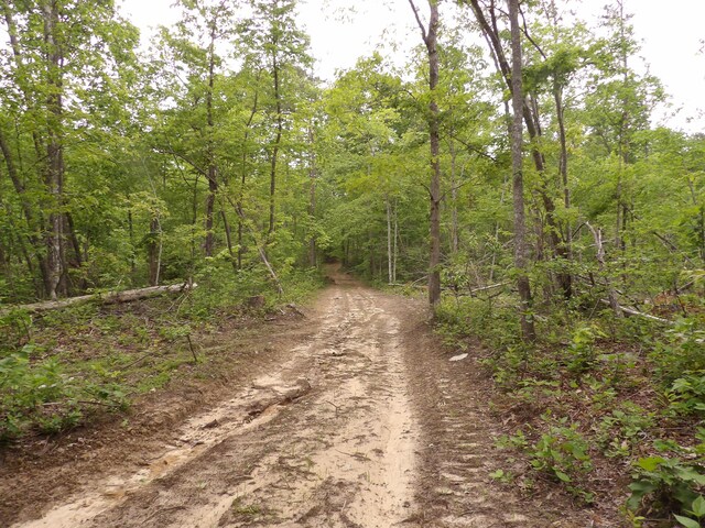 000 Overview Rd, Crossville, TN 38572 - photo 13