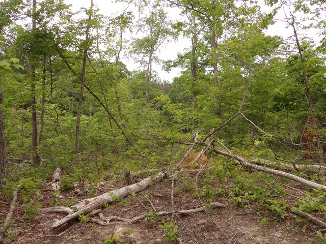 000 Overview Rd, Crossville, TN 38572 - photo 14