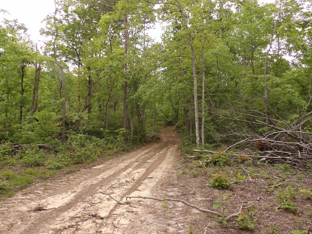 000 Overview Rd, Crossville, TN 38572 - photo 15