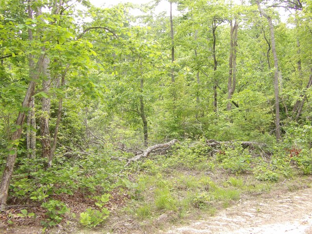 000 Overview Rd, Crossville, TN 38572 - photo 16