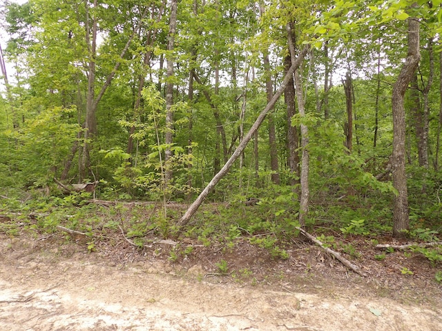 000 Overview Rd, Crossville, TN 38572 - photo 17