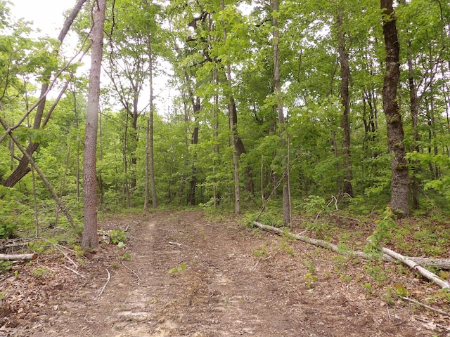 000 Overview Rd, Crossville, TN 38572 - photo 19