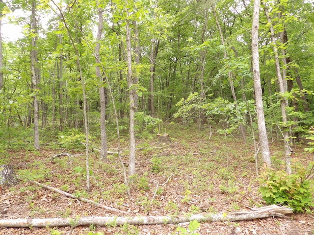 000 Overview Rd, Crossville, TN 38572 - photo 20