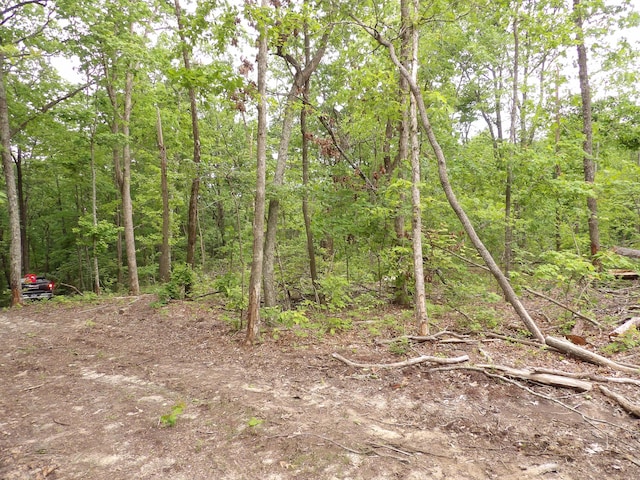 000 Overview Rd, Crossville, TN 38572 - photo 22