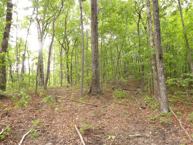000 Overview Rd, Crossville, TN 38572 - photo 23