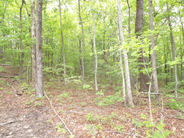000 Overview Rd, Crossville, TN 38572 - photo 24