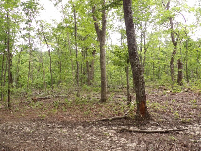 000 Overview Rd, Crossville, TN 38572 - photo 25