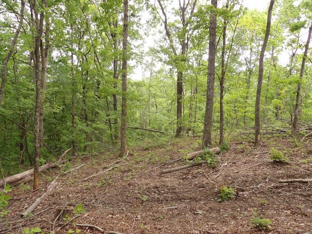 000 Overview Rd, Crossville, TN 38572 - photo 26