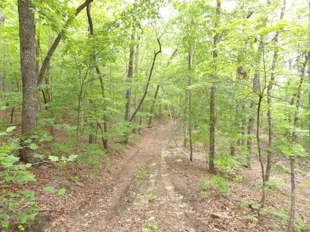 000 Overview Rd, Crossville, TN 38572 - photo 27