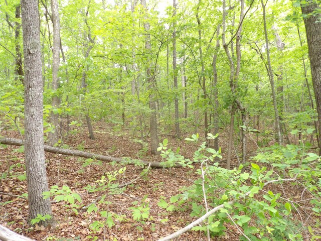 000 Overview Rd, Crossville, TN 38572 - photo 28