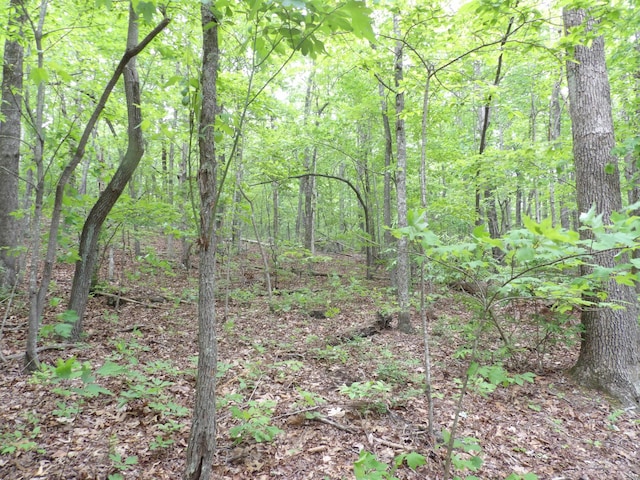 000 Overview Rd, Crossville, TN 38572 - photo 29