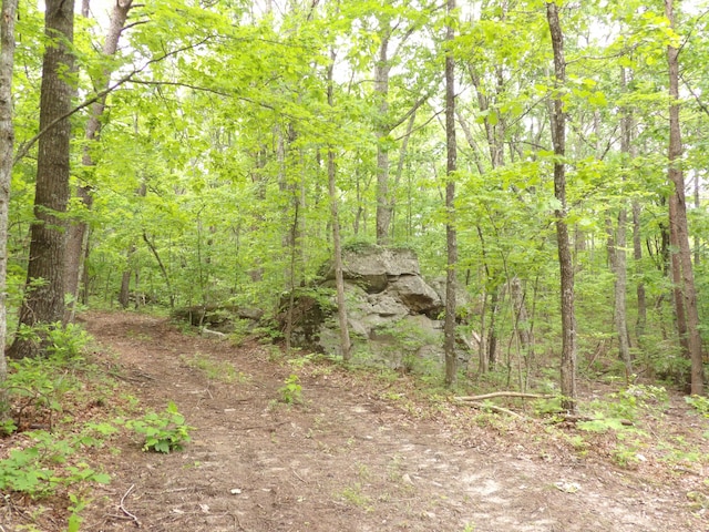 000 Overview Rd, Crossville, TN 38572 - photo 31