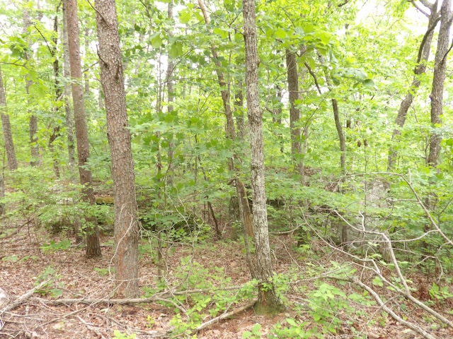 000 Overview Rd, Crossville, TN 38572 - photo 32