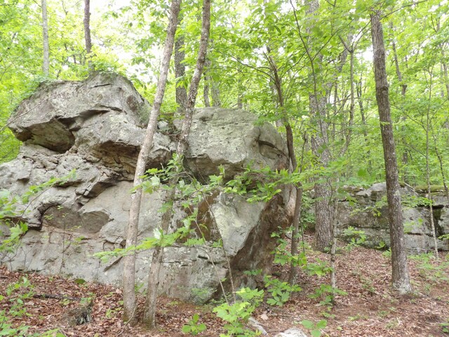 000 Overview Rd, Crossville, TN 38572 - photo 5