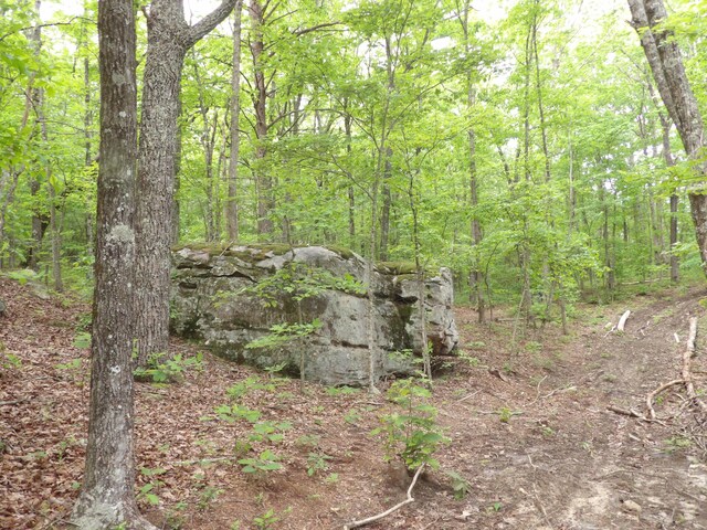 000 Overview Rd, Crossville, TN 38572 - photo 6