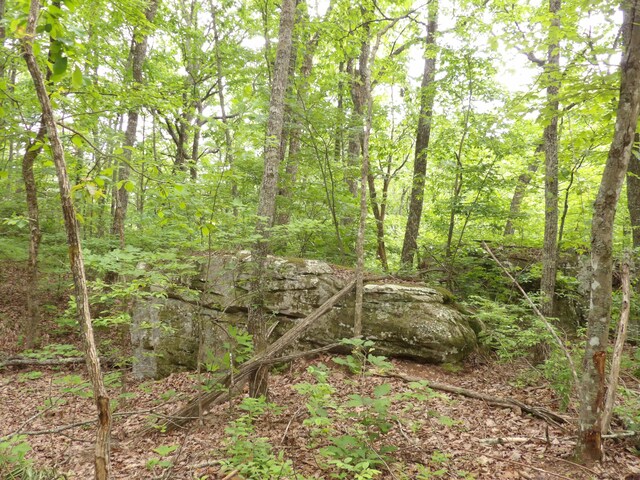 000 Overview Rd, Crossville, TN 38572 - photo 33