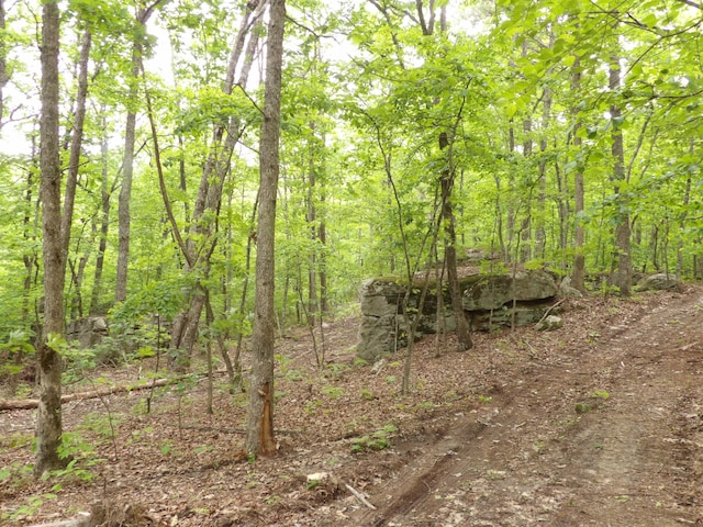 000 Overview Rd, Crossville, TN 38572 - photo 35