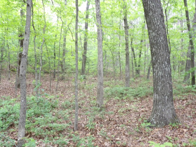 000 Overview Rd, Crossville, TN 38572 - photo 36