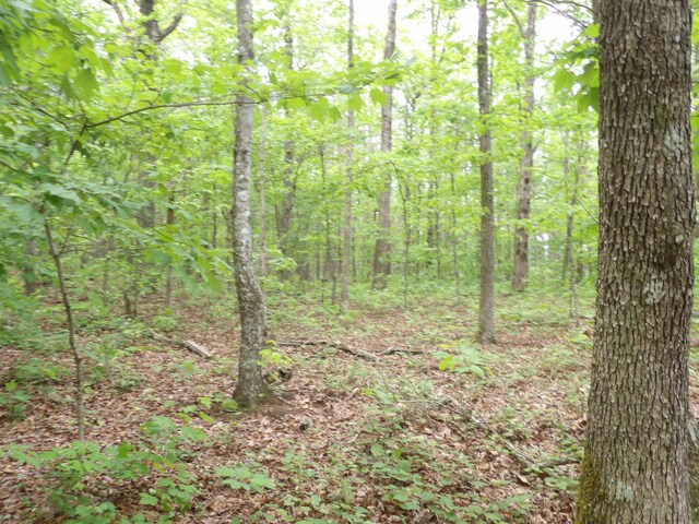 000 Overview Rd, Crossville, TN 38572 - photo 37