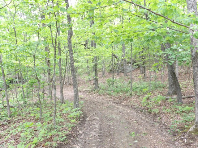 000 Overview Rd, Crossville, TN 38572 - photo 38