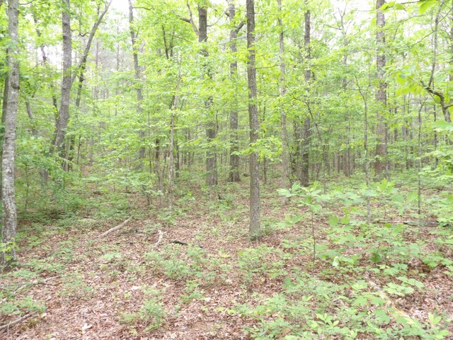 000 Overview Rd, Crossville, TN 38572 - photo 39