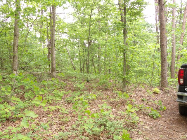 000 Overview Rd, Crossville, TN 38572 - photo 40