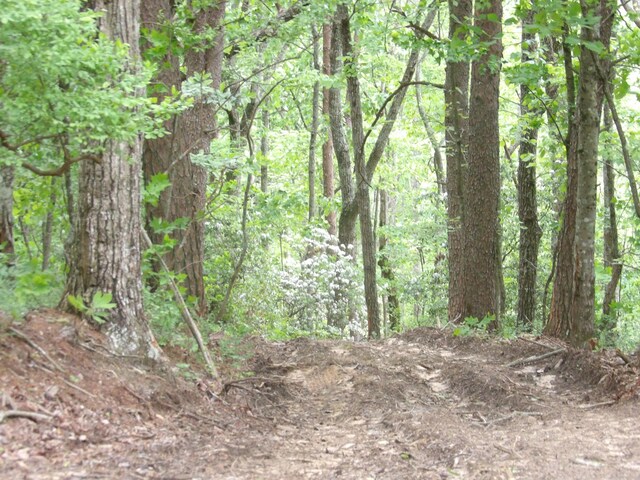 000 Overview Rd, Crossville, TN 38572 - photo 41