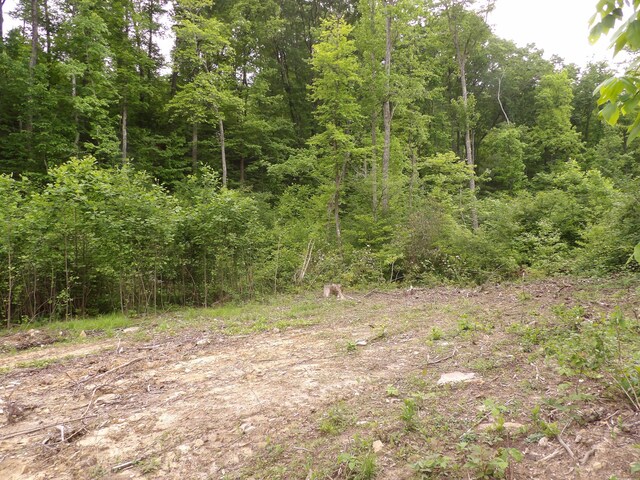 000 Overview Rd, Crossville, TN 38572 - photo 42
