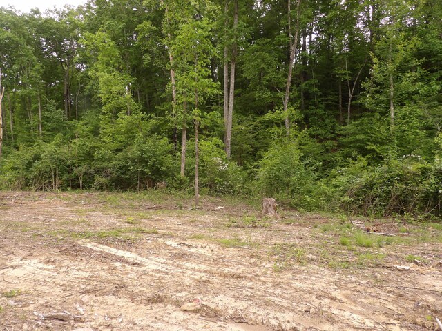 000 Overview Rd, Crossville, TN 38572 - photo 43