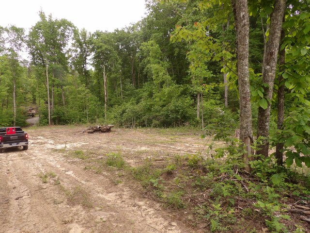 000 Overview Rd, Crossville, TN 38572 - photo 7