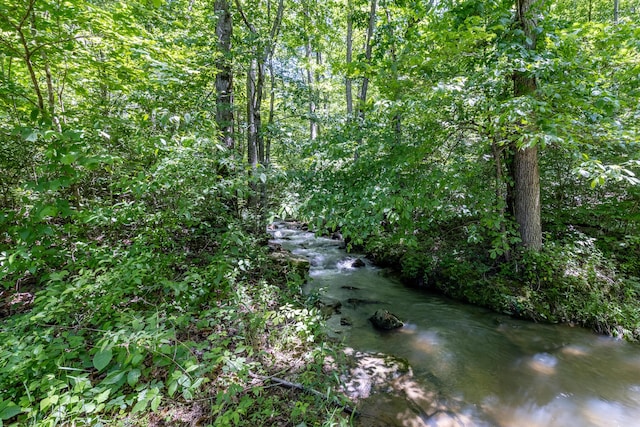 2217 Sr 399, Palmer, TN 37365 - view of local wilderness