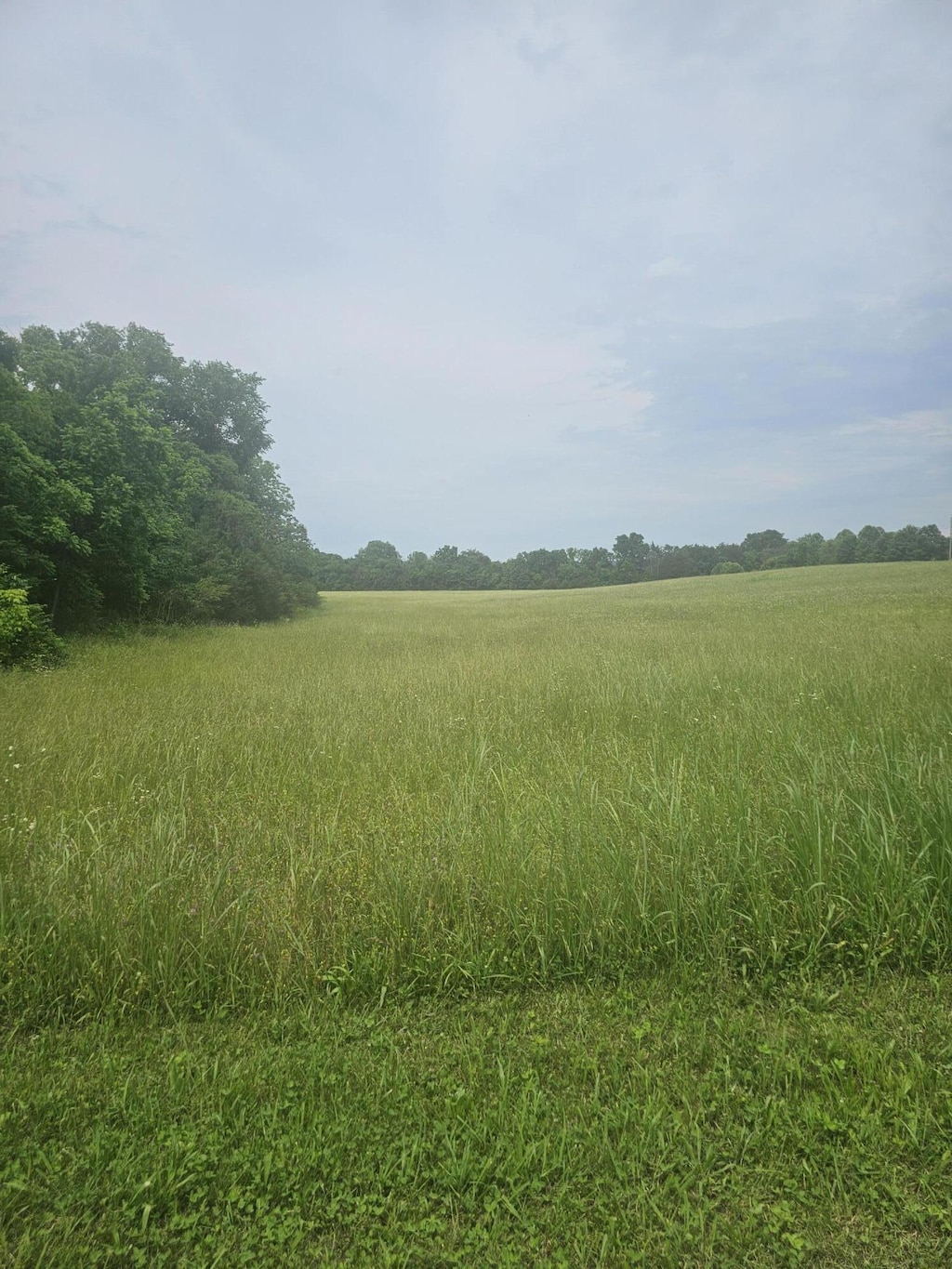 0 State Highway 58, Georgetown, TN 37336