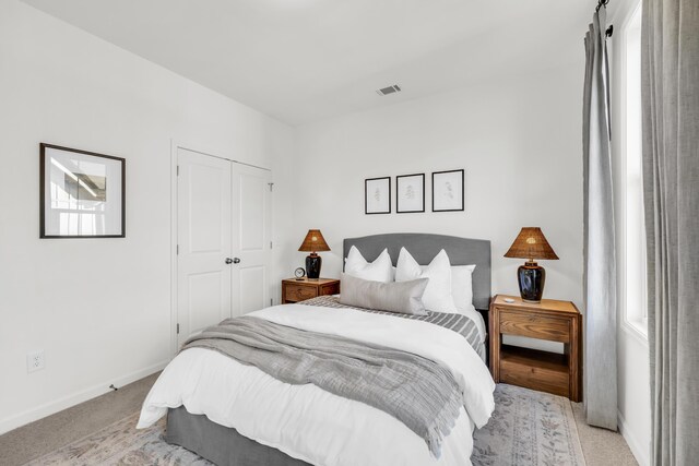 135 Peerless Ave Unit 120, Chattanooga, TN 37405 - bedroom featuring light carpet, baseboards, and a closet