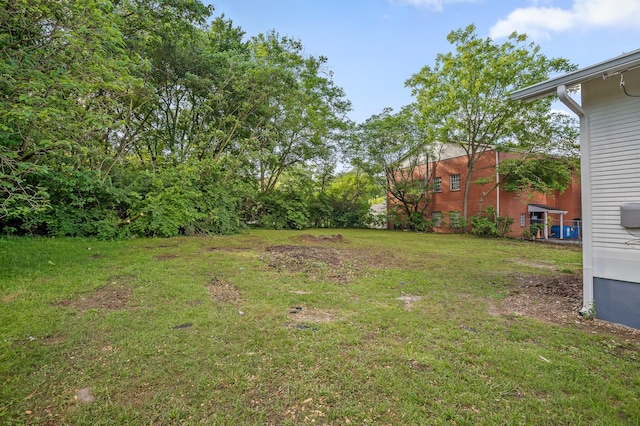 2806 N Chamberlain Ave, Chattanooga, TN 37406 - view of grassy yard
