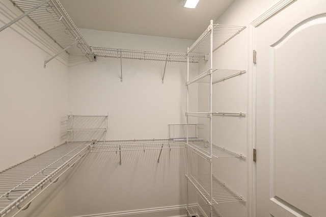 6721 Brianna Way, Chattanooga, TN 37421 - view of spacious closet
