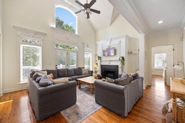 649 Wisley Way, Ringgold, GA 30736 - living area with a ceiling fan, a fireplace, wood finished floors, healthy amount of natural light, and high vaulted ceiling