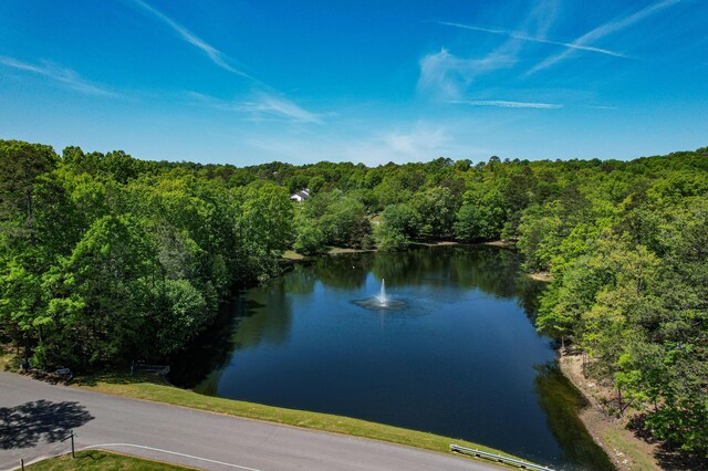 649 Wisley Way, Ringgold, GA 30736 - water view featuring a heavily wooded area