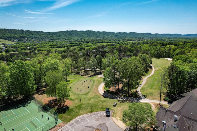 649 Wisley Way, Ringgold, GA 30736 - bird's eye view of a heavily wooded area