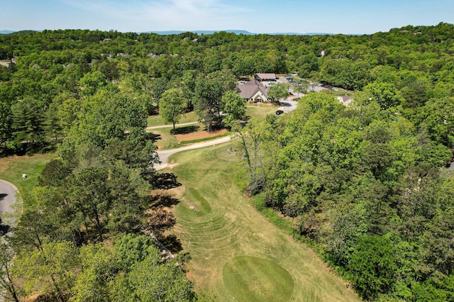 649 Wisley Way, Ringgold, GA 30736 - drone / aerial view of a forest and a local golf course